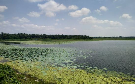 Santhe Lake – Happy Weekend Guys – Travel blog around Mysuru & Bengaluru